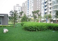 城市园林绿化企业资质标准