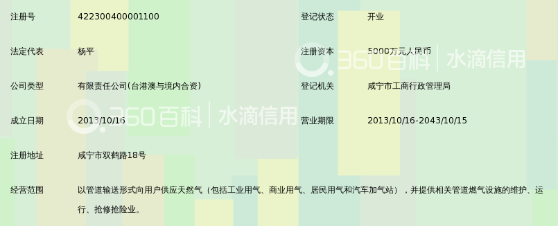 咸宁华润城投燃气有限公司_360百科